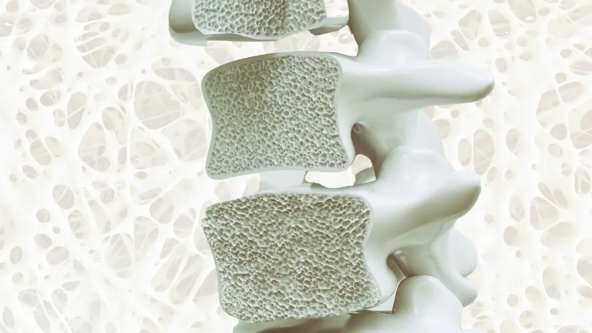 เสี่ยงเท่ากัน! ชายไทยอย่าชะล้าใจ 'กระดูกพรุน' ไม่ใช่เรื่องของผู้หญิง