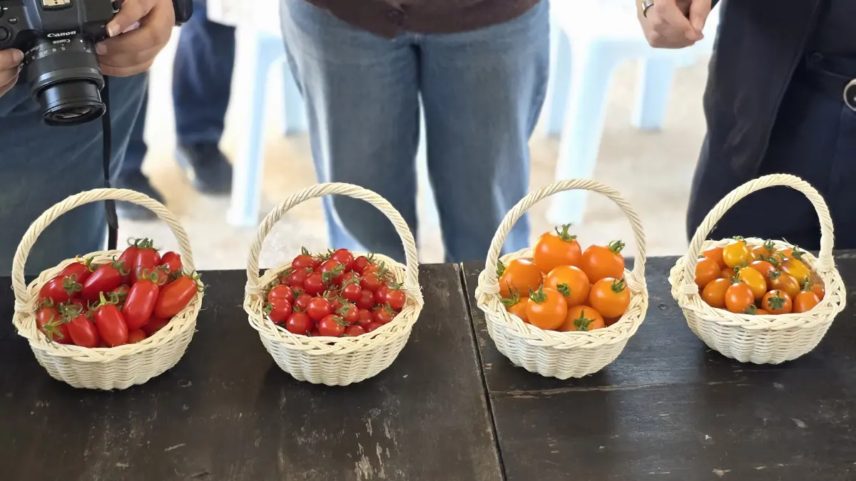 ยกระดับเศรษฐกิจชุมชน ด้วยโครงการ ‘หมู่บ้านนวัตกรรมเพื่อสังคม'