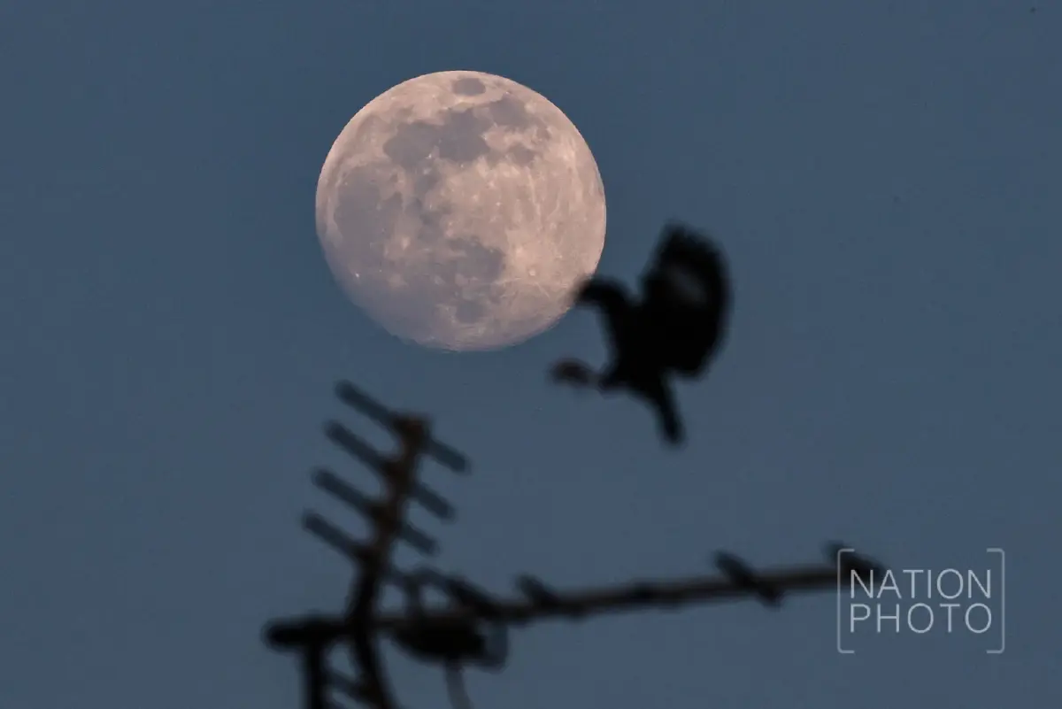 คืนวันที่ 4 ธ.ค. ชวนดู 'ซูเปอร์ฟูลมูน' ครั้งสุดท้ายของปี 2568 มองเห็นด้วยตาเปล่า