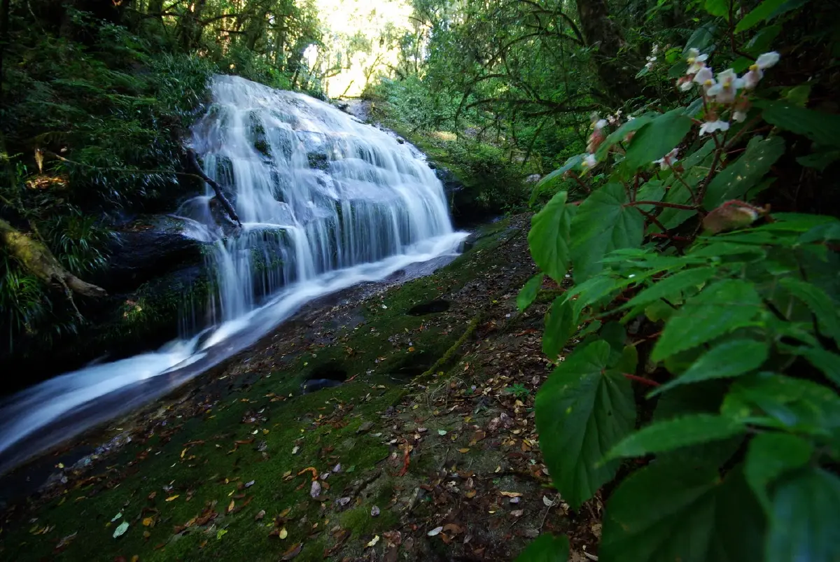 อินทนนท์...ด้วยพระบารมีคุ้มฟ้า