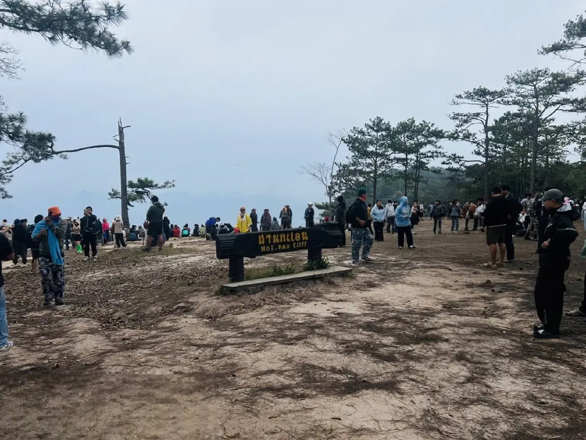 เข้าฟรีวันพ่อ! 'ภูกระดึง' คึกคัก นักท่องเที่ยวทะลุ 2,500 คน แห่สัมผัสอากาศหนาว