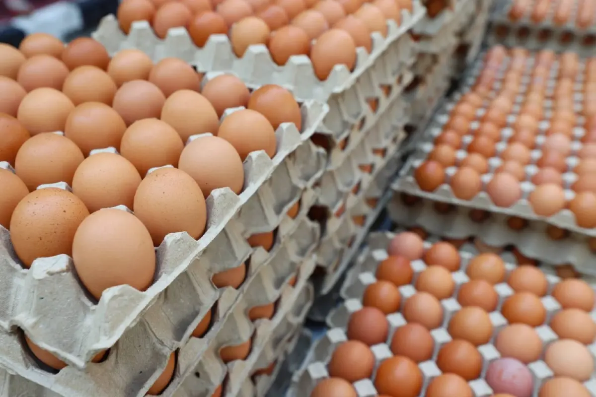 ‘มูลนิธิเนชั่น-ซีพีเอฟ’ ทำโรงครัว ช่วยผู้ประสบภัยน้ำท่วมภาคใต้