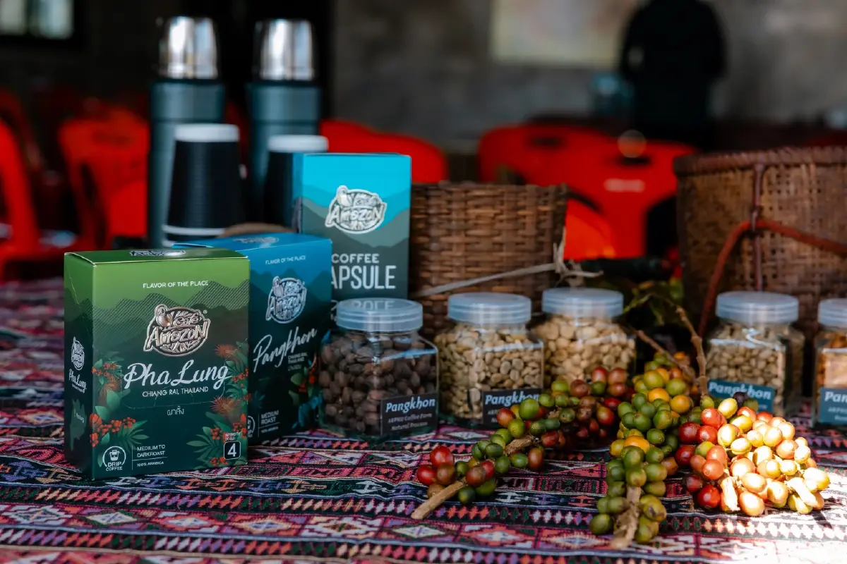 หมดยุคกินกาแฟ ‘เพื่อตื่น’ ต้องรู้กลิ่น-รส-ปลูกดอยไหน ‘Café Amazon’  ชี้ คนไทยกินวันละ 1.2 แก้ว