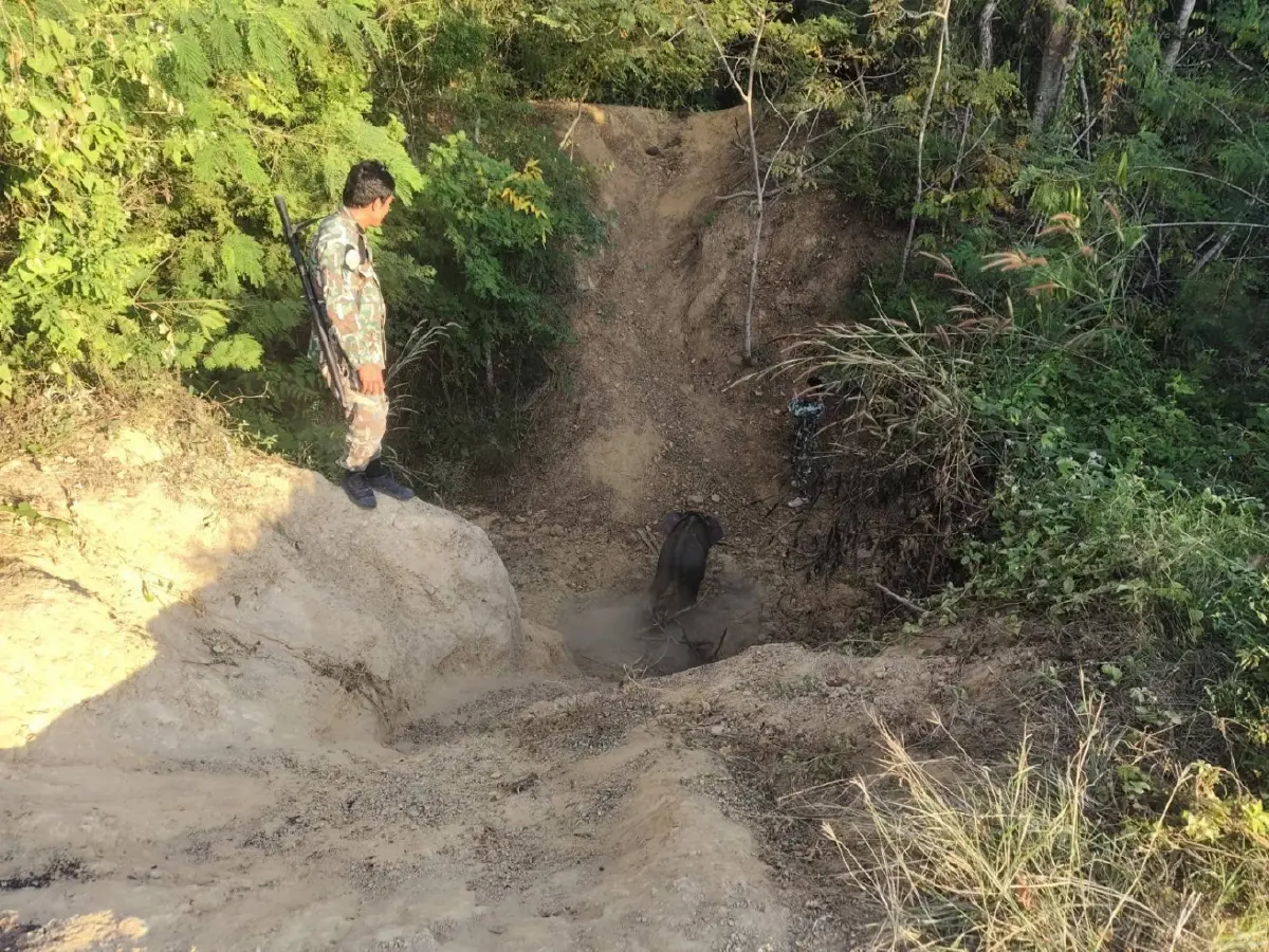 อัปเดต 2 ลูกช้างป่าพลัดหลง 'ถูกควายขวิด-ขาติดบ่วง' ล่าสุดกลับคืนสู่ป่าปลอดภัย