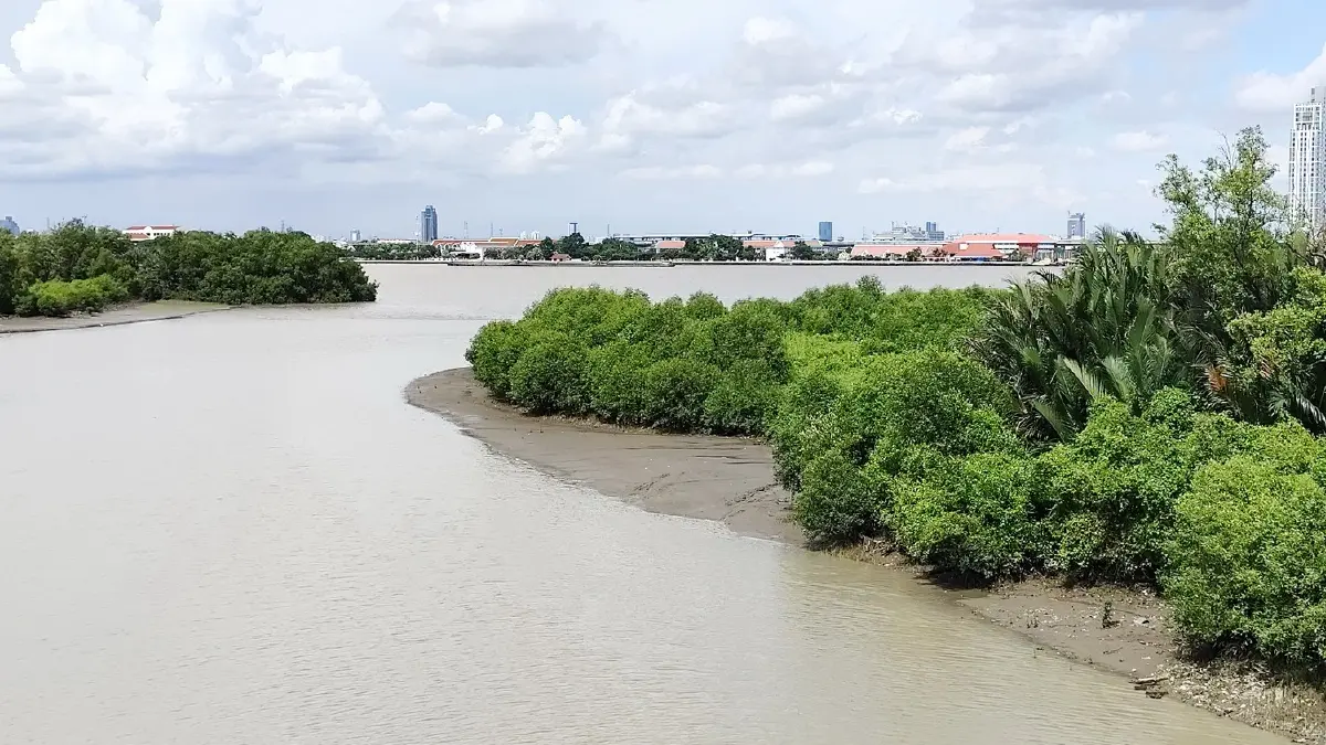 ป้อมปืนปากน้ำ