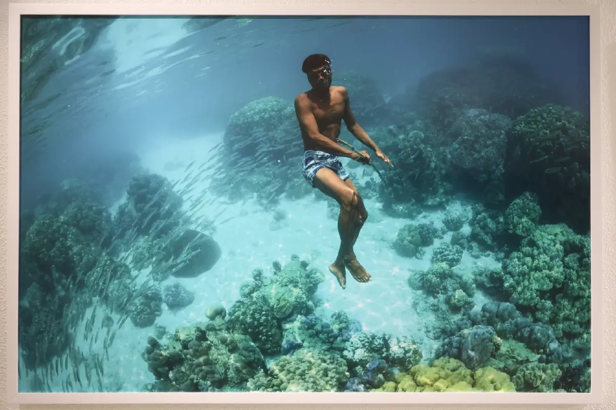 สยามพารากอน ชวนสัมผัสความงดงามของท้องทะเล ในนิทรรศการ TIDE OF TOMORROW