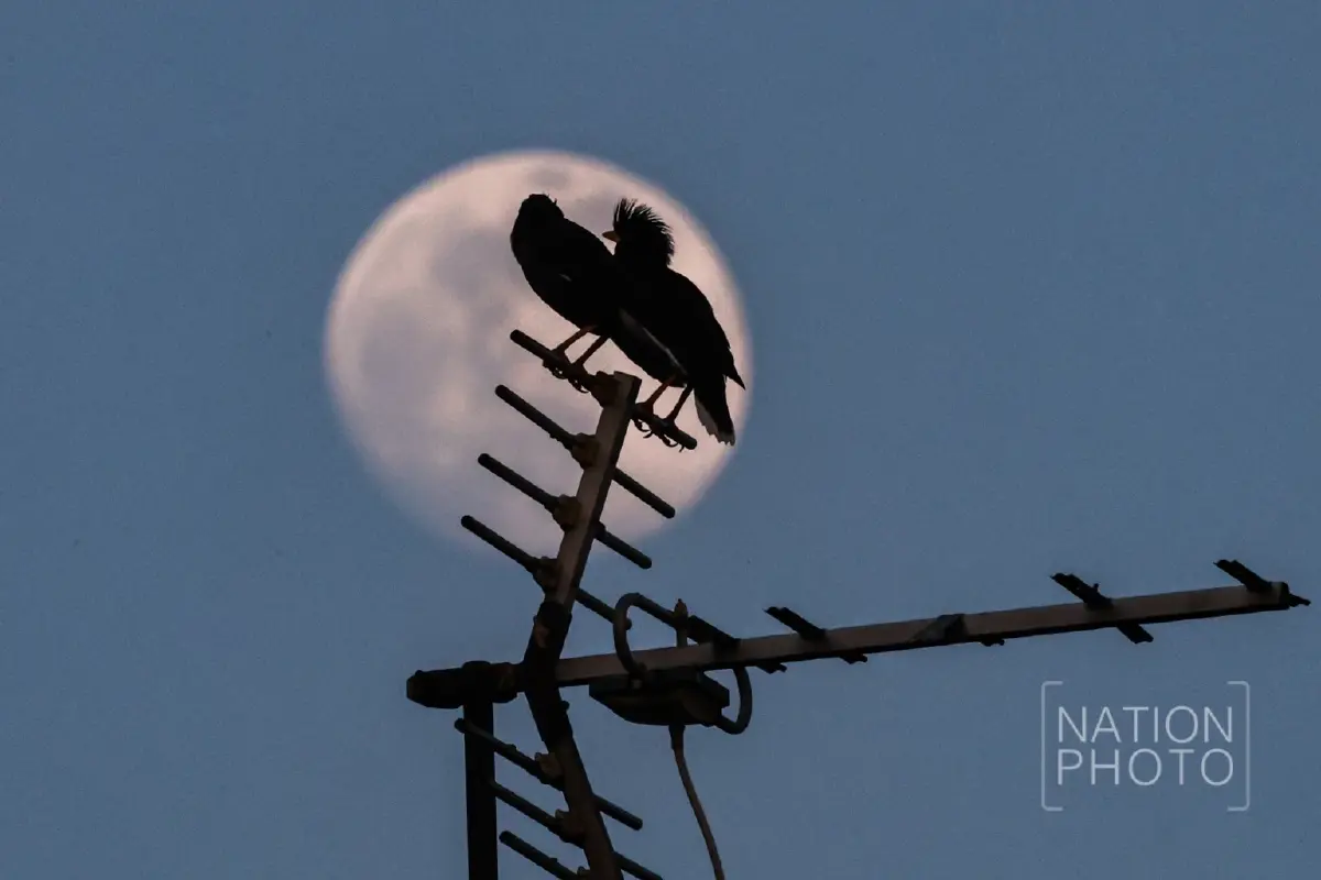 คืนวันที่ 4 ธ.ค. ชวนดู 'ซูเปอร์ฟูลมูน' ครั้งสุดท้ายของปี 2568 มองเห็นด้วยตาเปล่า