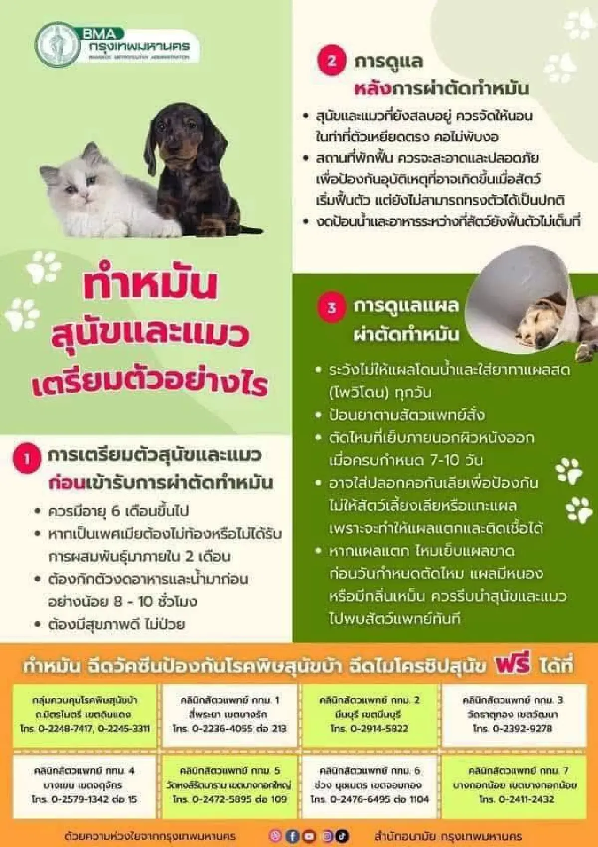 รวมทุกข้อสงสัย 'กฎหมายควบคุมฯ' สัตว์เลี้ยง กทม. 'รีบฝังชิป-จดแจ้ง' มีผล 10 ม.ค. 69