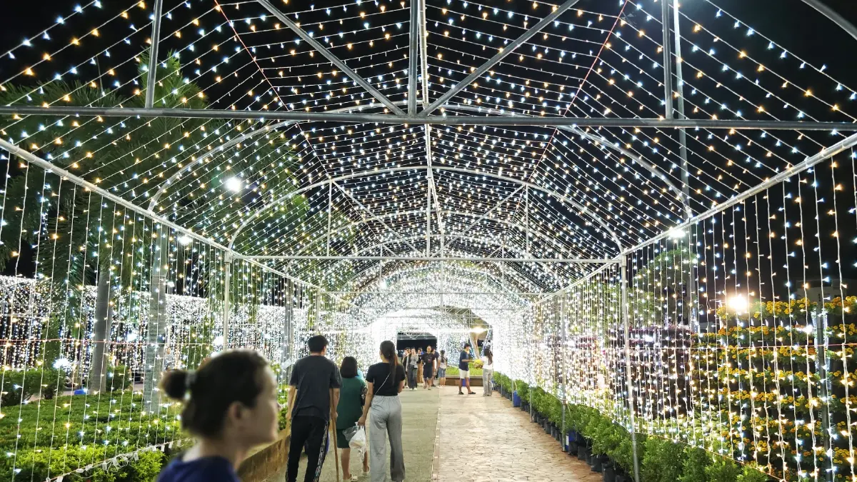 ชวนชม ‘สวนเรืองแสง’ ส่งท้ายปีเก่าต้อนรับปีใหม่ 2569 จ.สุราษฎร์ธานี