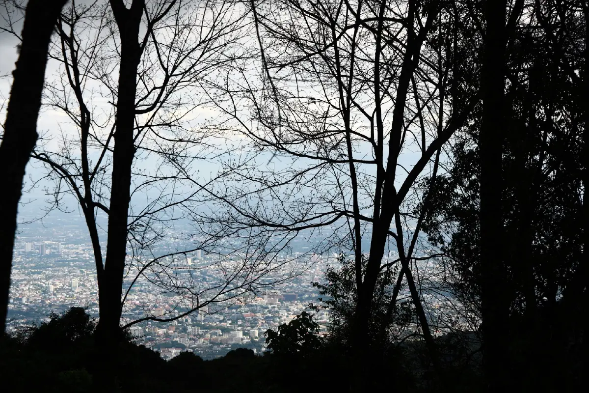 'เส้นทางศึกษาธรรมชาติยอดดอยปุย'โอเอซิสหลังบ้านของชาวเชียงใหม่