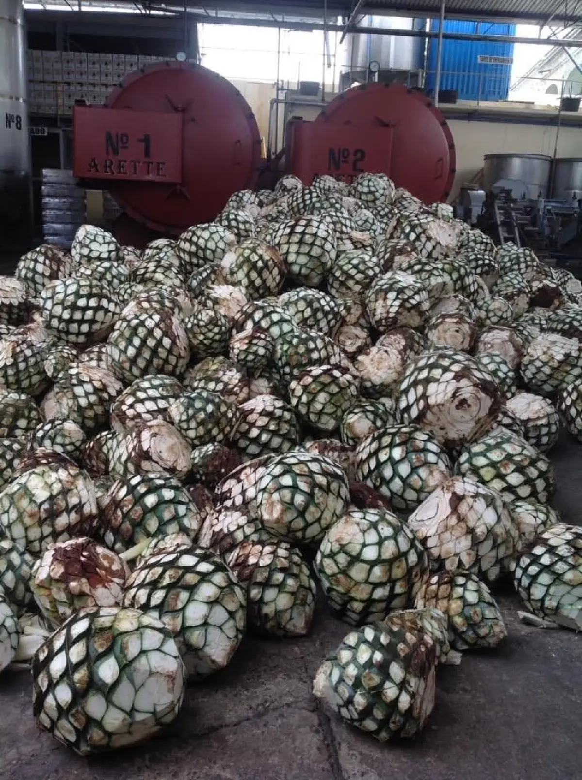 เตกีลา (Tequila) จากสุราชุมชนสู่ระดับโลก