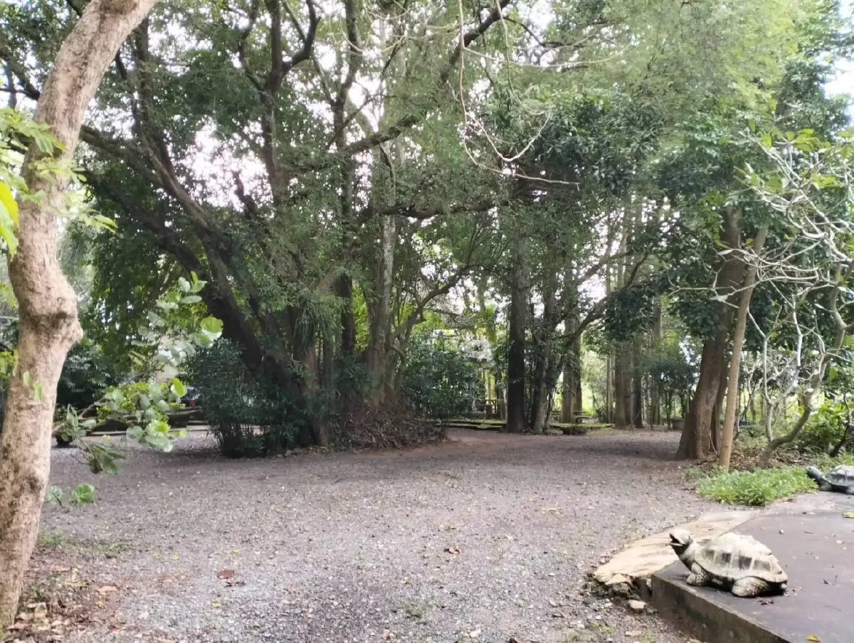 สุขภาพดี-ชีวิตที่ยั่งยืน ทำแล้วมีความสุข  ฉบับ ‘ลุงเจ๋ง’ คนธรรมดา