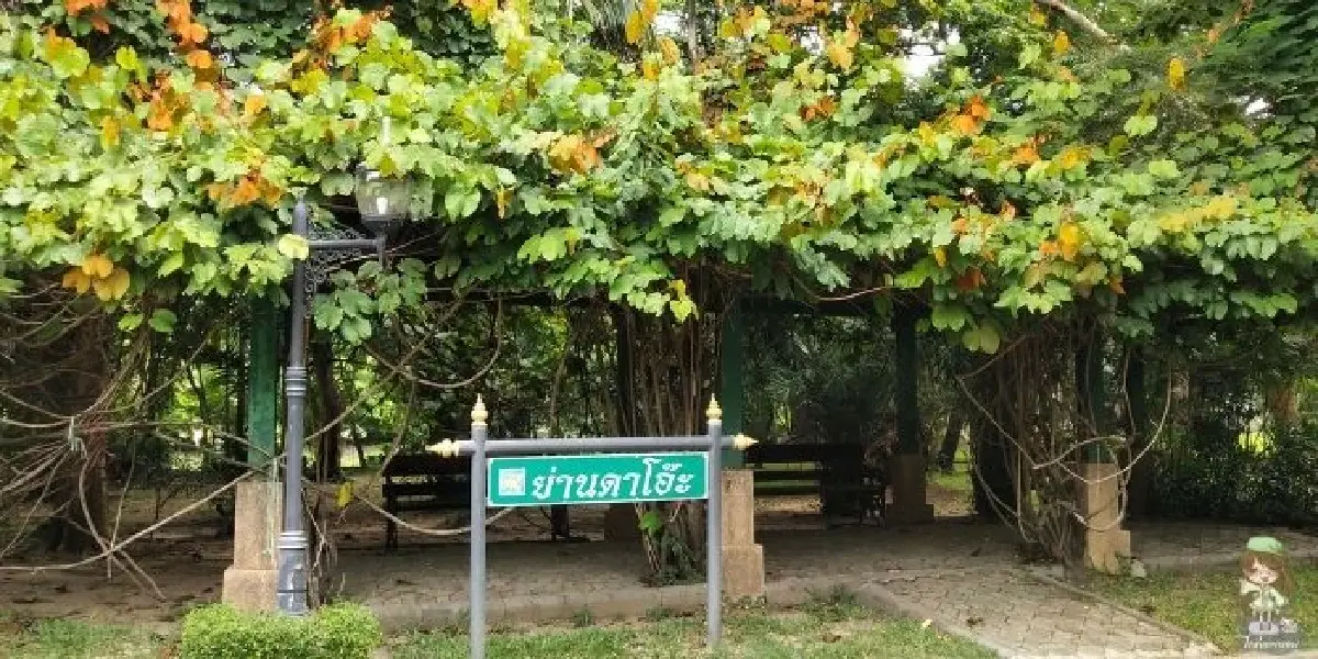 รับแดดอุ่นที่สวนสมเด็จพระนางเจ้าสิริกิติ์ ป่าเล็กในเมืองใหญ่