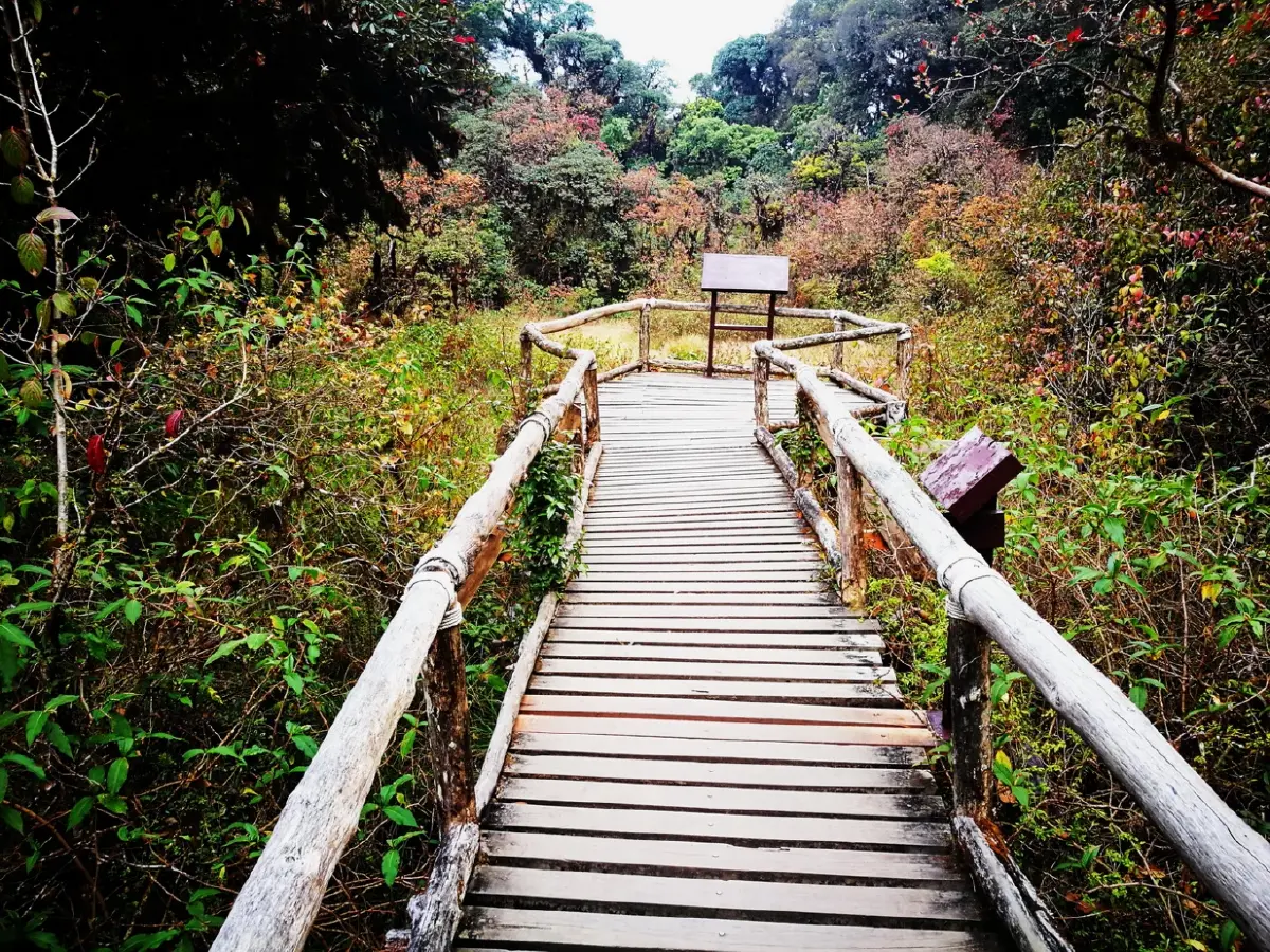 อินทนนท์...ด้วยพระบารมีคุ้มฟ้า