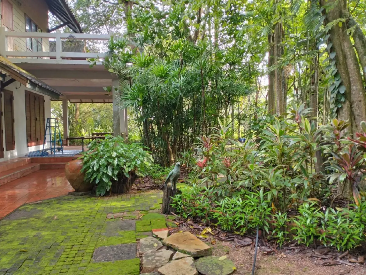 สุขภาพดี-ชีวิตที่ยั่งยืน ทำแล้วมีความสุข  ฉบับ ‘ลุงเจ๋ง’ คนธรรมดา