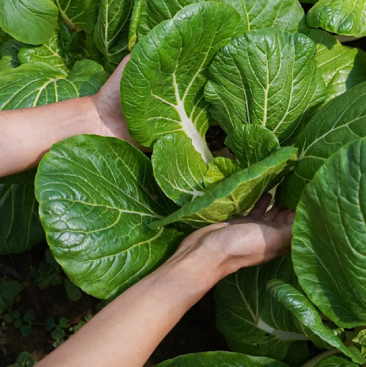 ‘โอ้กะจู๋’ ปรับเกมสู้ต้นทุน เพิ่มจานเดี่ยว-ทำเมนูไซซ์เล็ก แง้มปีหน้ามีแบรนด์ใหม่เพิ่ม