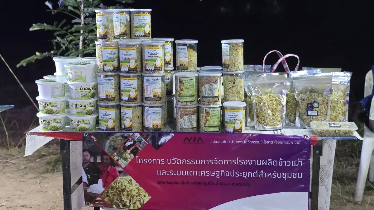 พลิกฟื้นเศรษฐกิจ 'ร้อยเอ็ด' ด้วย 'มะเขือเทศ' V-PROMPT- 'โคเนื้อ' KULA BEEF