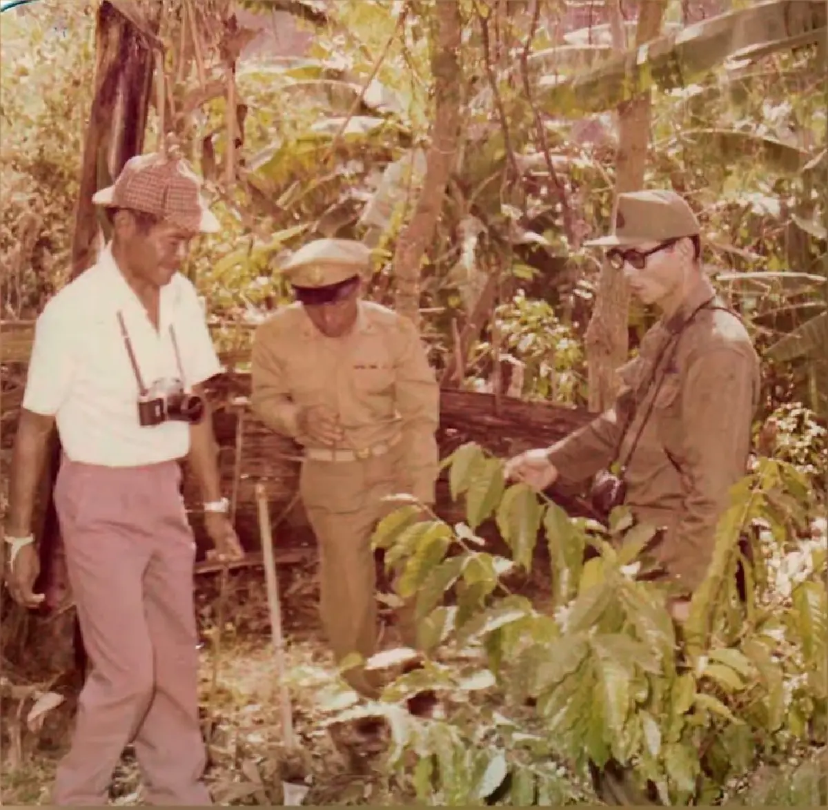 ต้นกาแฟของ 'พ่อ' พระมหากรุณาธิคุณเปลี่ยนป่าฝิ่นเป็นป่าอราบิก้า