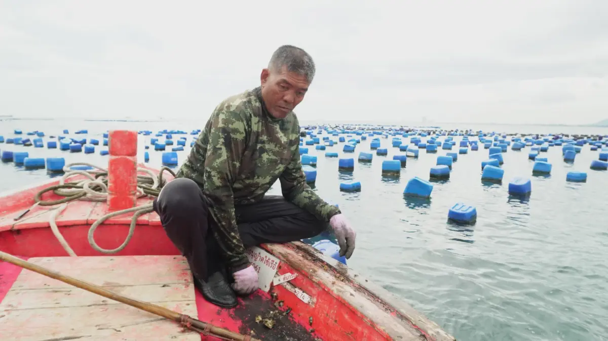 เที่ยวศรีราชา ปักหมุด 'ชุมชนบ้านใน' เรียนรู้การอนุรักษ์ สัมผัสวิถีทะเลใกล้กรุง