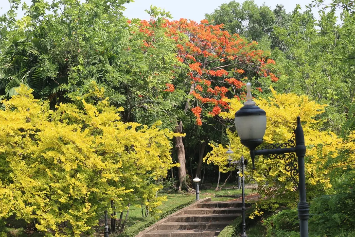 รับแดดอุ่นที่สวนสมเด็จพระนางเจ้าสิริกิติ์ ป่าเล็กในเมืองใหญ่