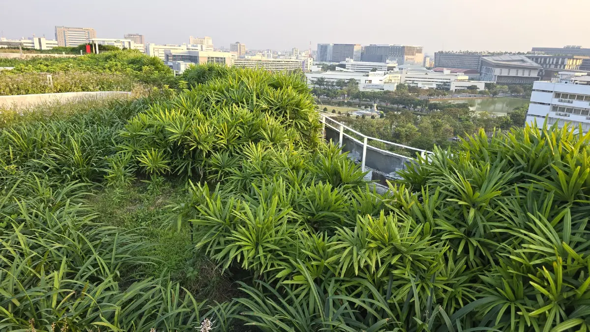 เปิดตัว ‘สวนลอยฟ้า’ใหญ่ที่สุดในไทย ‘A-D Sky Park’ และ ฟองน้ำยักษ์ แห่งศูนย์ราชการ