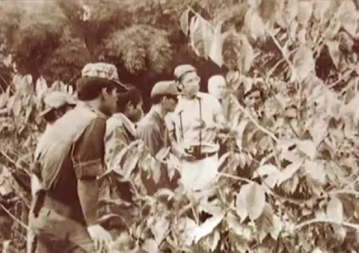 ต้นกาแฟของ 'พ่อ' พระมหากรุณาธิคุณเปลี่ยนป่าฝิ่นเป็นป่าอราบิก้า