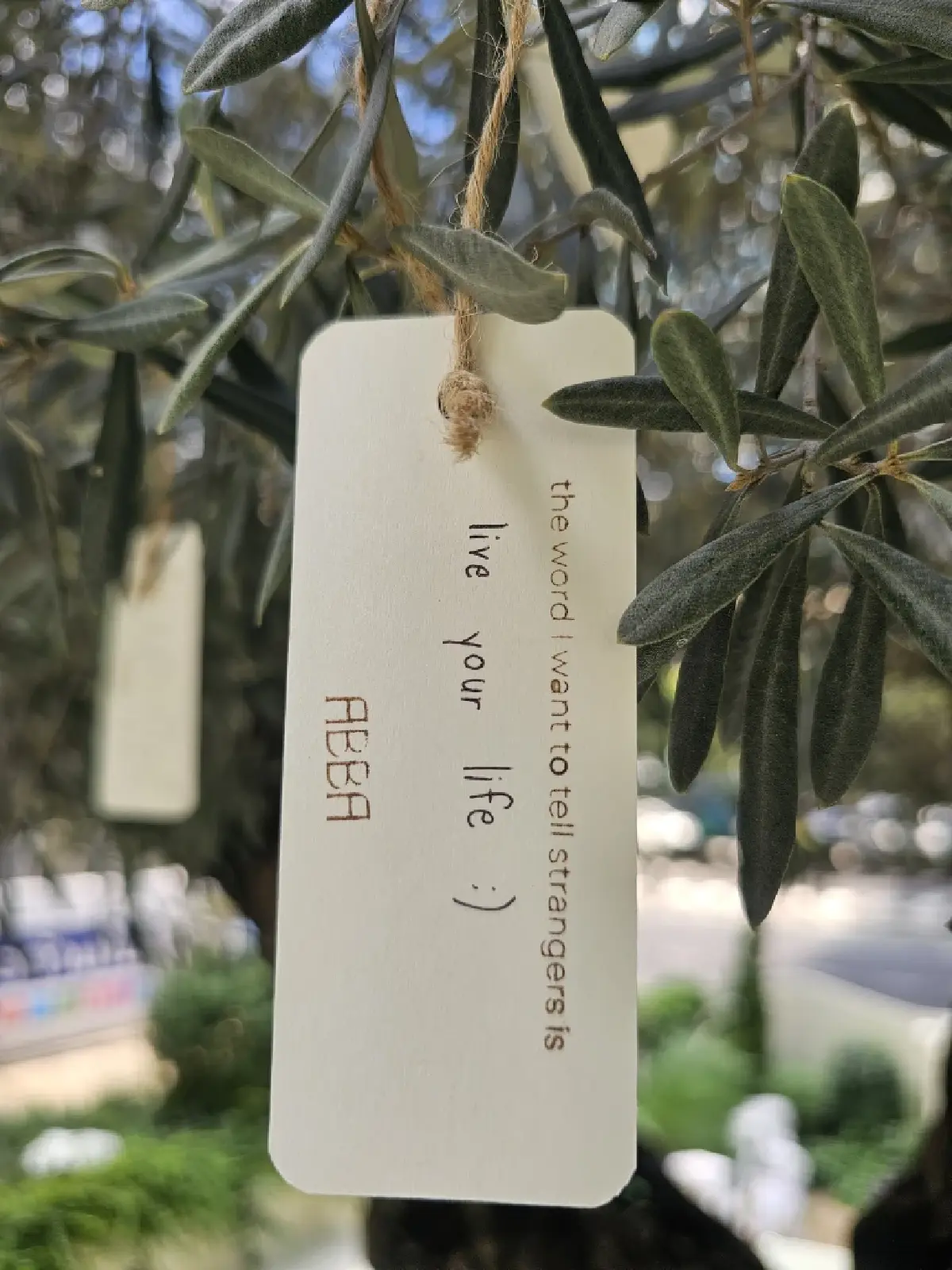 บรันซ์ทั้งวัน ที่ ‘ABBA Café’ สามย่าน ขนมปังฟอคคาเซีย อร่อย