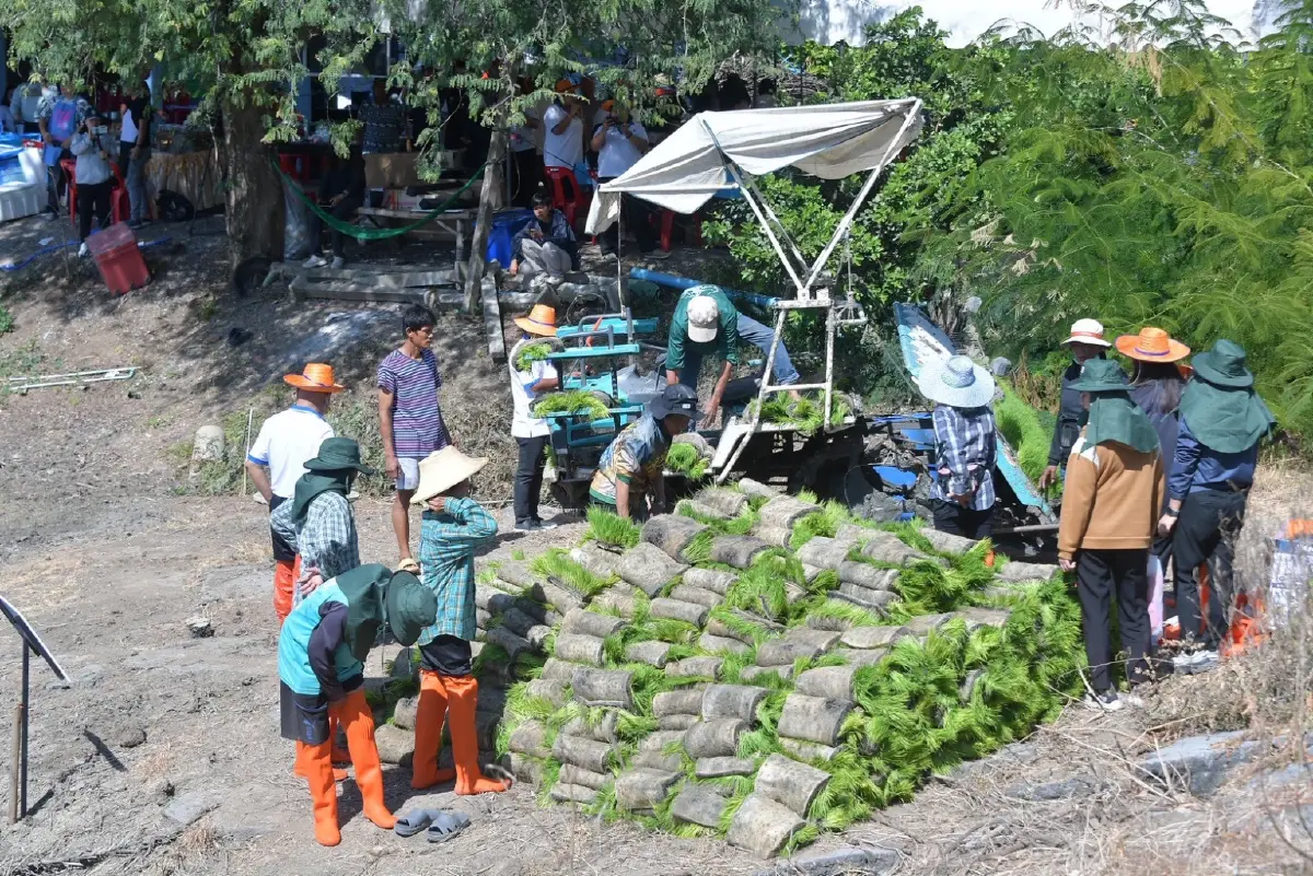 กรมชลฯ kick off ส่งเสริมนาเปียกสลับแห้งสู่การขยายผลพื้นที่ชลประทาน