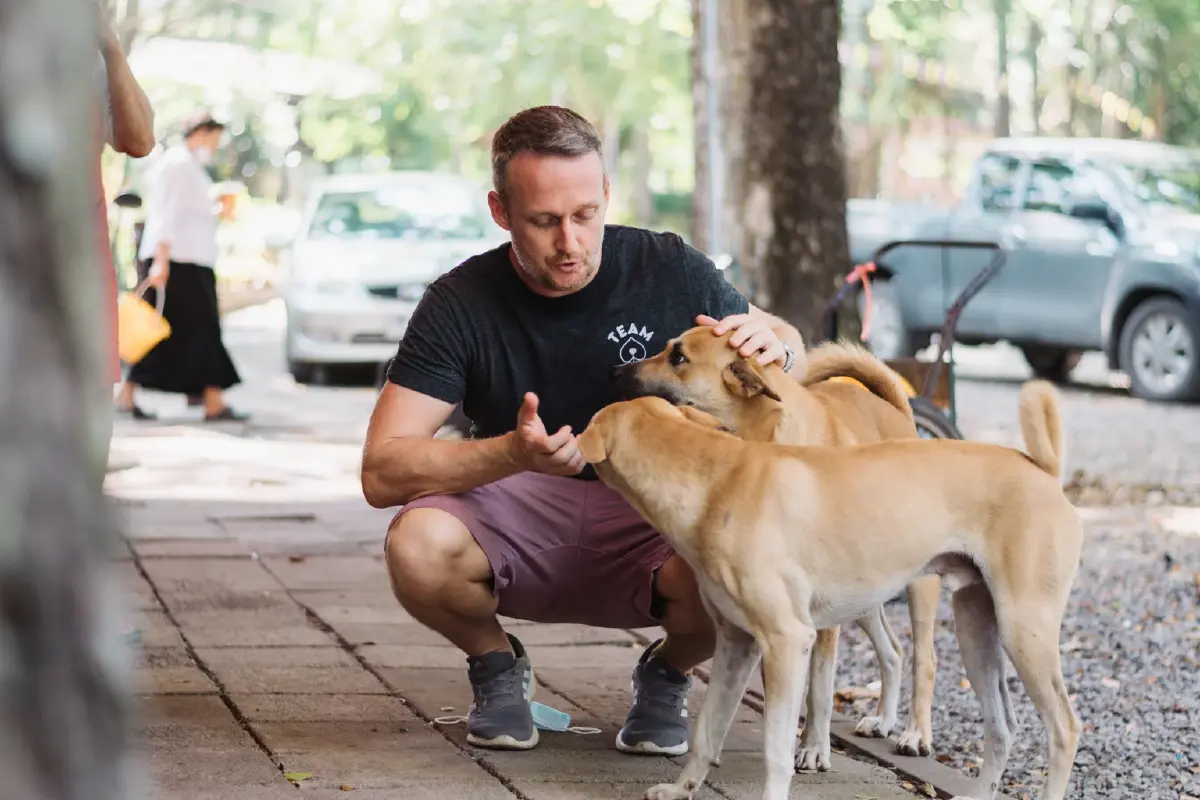 'มาร์ส-มูลนิธิใจด็อก เรสคิว' รับอุปการะสัตว์จากศูนย์พักพิงเป็นตัวเลือกแรก