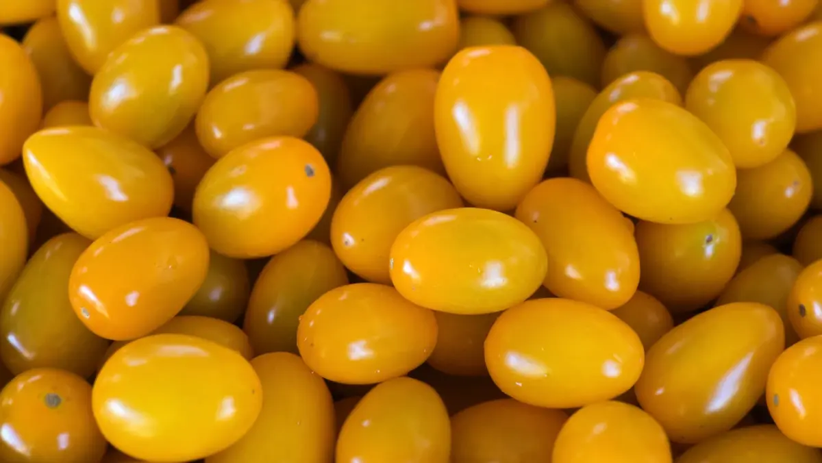 ยกระดับเศรษฐกิจชุมชน ด้วยโครงการ ‘หมู่บ้านนวัตกรรมเพื่อสังคม'