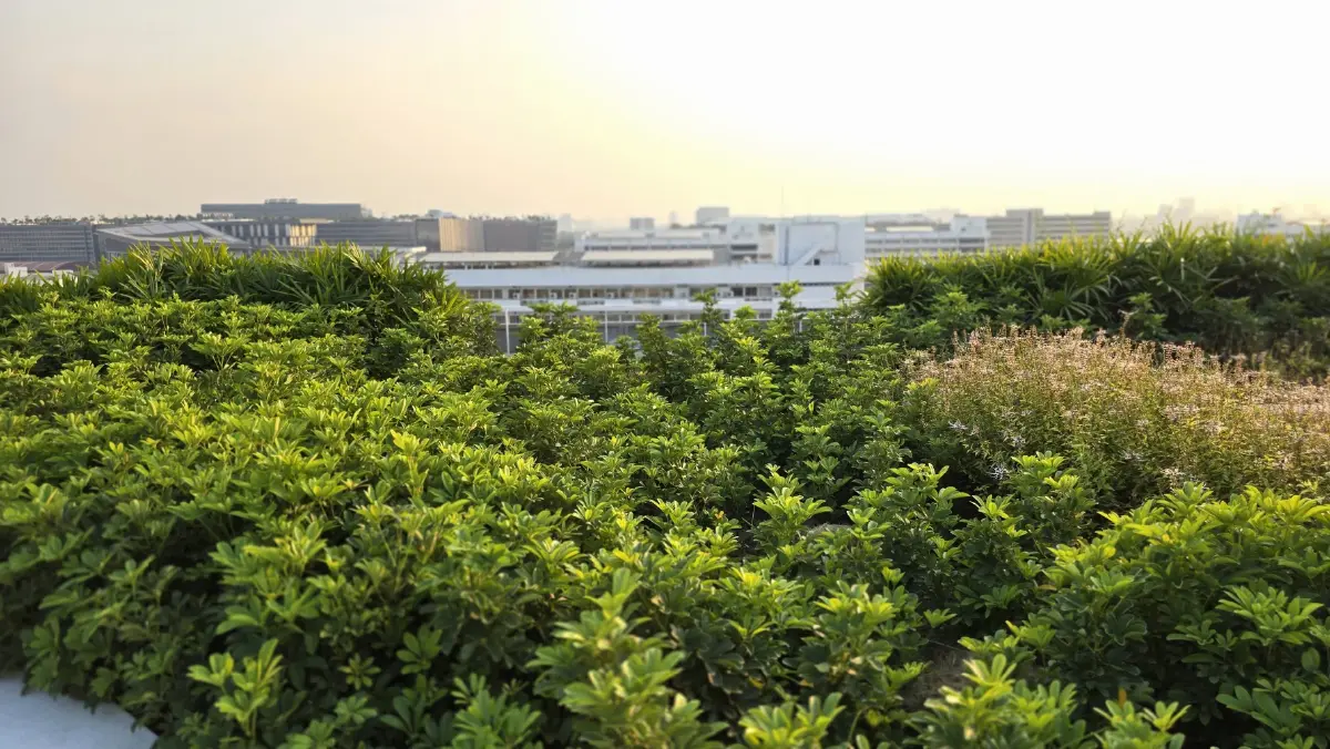 เปิดตัว ‘สวนลอยฟ้า’ใหญ่ที่สุดในไทย ‘A-D Sky Park’ และ ฟองน้ำยักษ์ แห่งศูนย์ราชการ