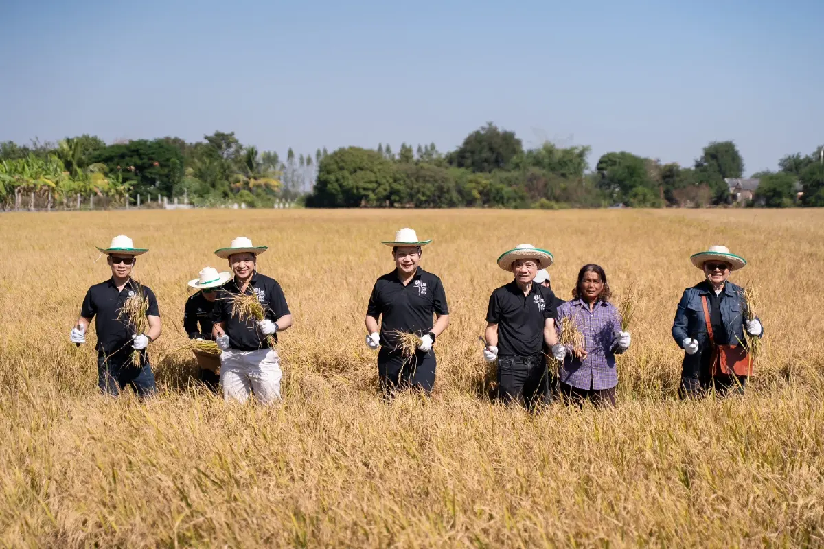 PTG ส่งเสริมโครงการ 'ปลูกข้าวแบบเปียกสลับแห้ง' ลดการปล่อยก๊าซมีเทน