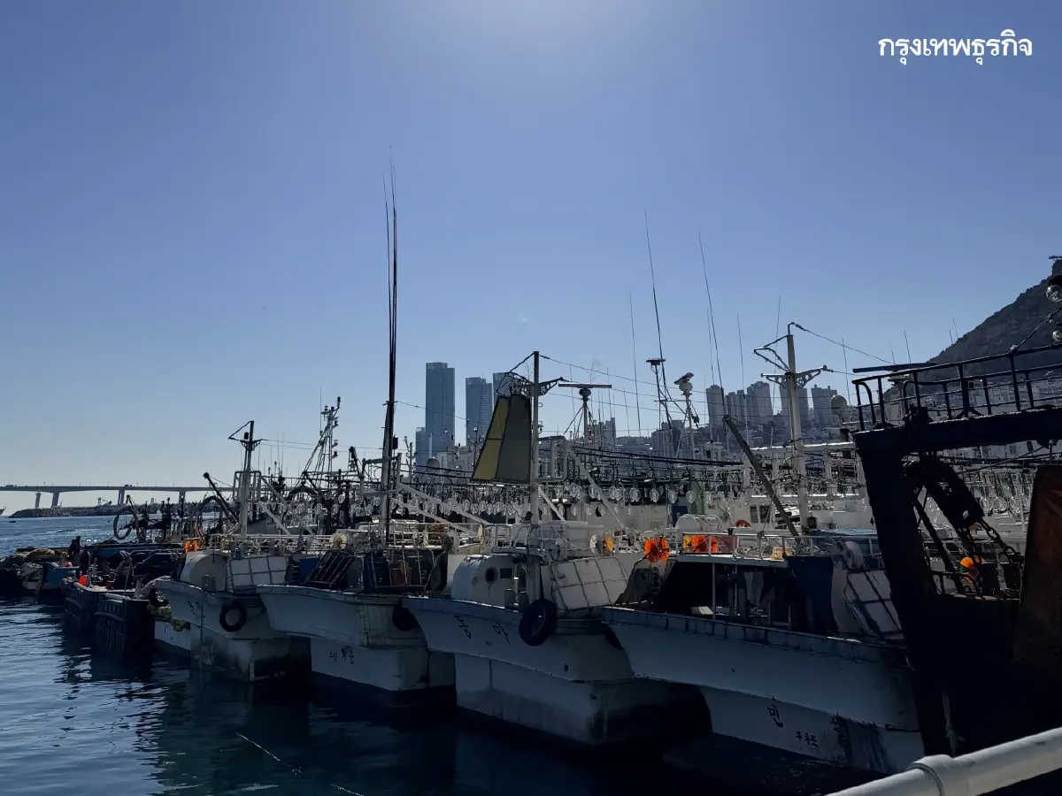 จาก 'โซล' ถึง 'ปูซาน' ตามรอยสงครามที่ไม่มีใครเป็นผู้ชนะ