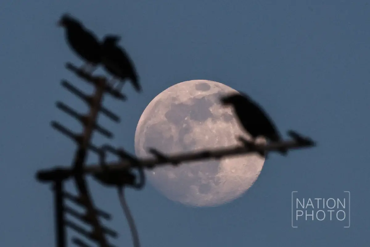 คืนวันที่ 4 ธ.ค. ชวนดู 'ซูเปอร์ฟูลมูน' ครั้งสุดท้ายของปี 2568 มองเห็นด้วยตาเปล่า