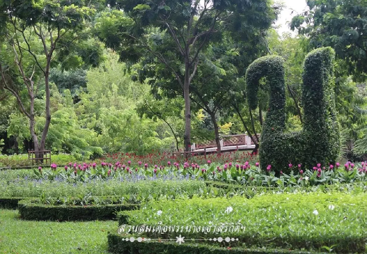 รับแดดอุ่นที่สวนสมเด็จพระนางเจ้าสิริกิติ์ ป่าเล็กในเมืองใหญ่