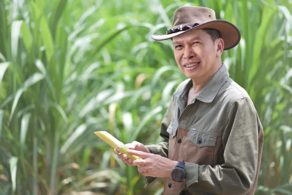 มิตรผล โอเอซิส พลิกวิกฤติน้ำด้วย โอเอซิสเพื่อการเกษตร สร้างความยั่งยืนเกษตรกรไทย