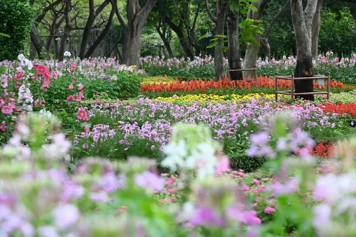 รับแดดอุ่นที่สวนสมเด็จพระนางเจ้าสิริกิติ์ ป่าเล็กในเมืองใหญ่