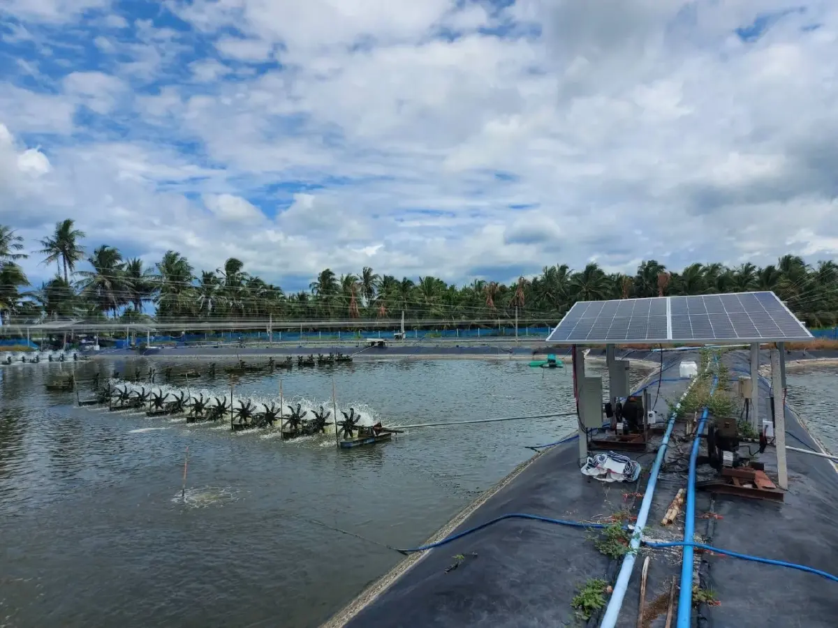 ‘ผู้ซื้อต่างประเทศ’รีเควส‘กุ้งคาร์บอนต่ำ’เกษตรเทรนนิ่งเปลี่ยนผ่านสู่ฟาร์มสีเขียว