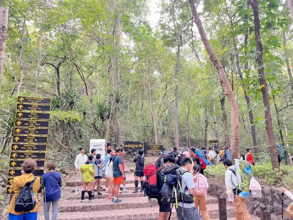 เข้าฟรีวันพ่อ! 'ภูกระดึง' คึกคัก นักท่องเที่ยวทะลุ 2,500 คน แห่สัมผัสอากาศหนาว