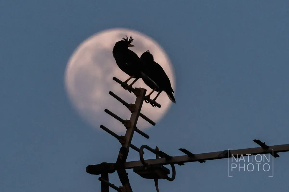 คืนวันที่ 4 ธ.ค. ชวนดู 'ซูเปอร์ฟูลมูน' ครั้งสุดท้ายของปี 2568 มองเห็นด้วยตาเปล่า