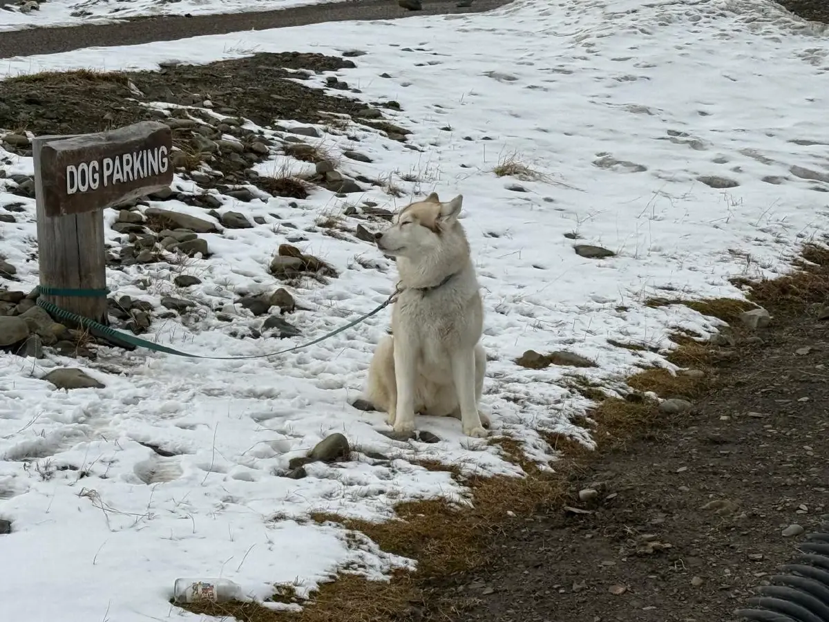 ‘สวาลบาร์ด’ ดินแดนที่เวลาไม่สำคัญอีกต่อไป | World Wide View