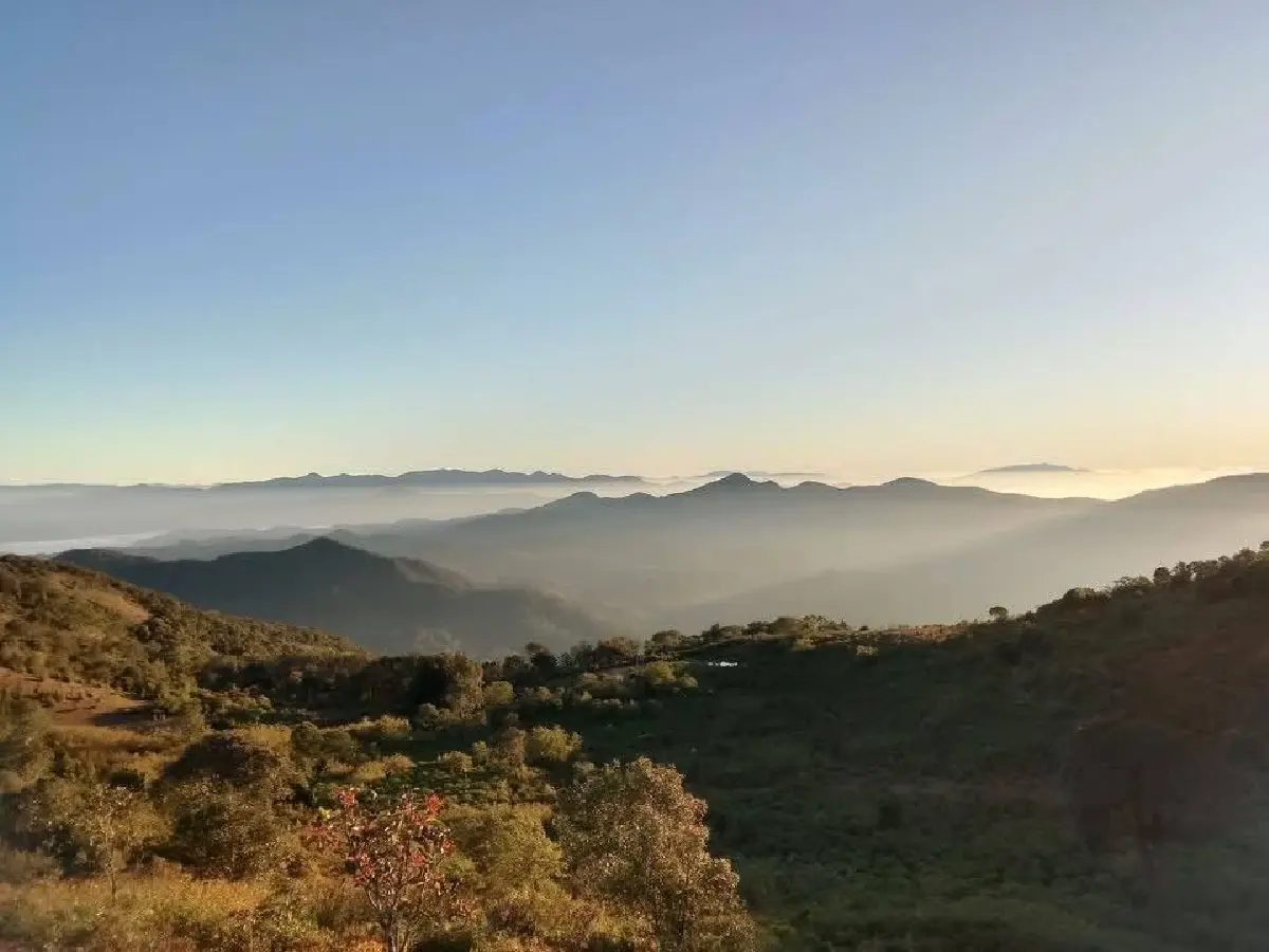 ชวนเที่ยว 'ดอยปุยหลวง' ที่เที่ยวหน้าหนาว อุทยานฯ น้ำตกแม่สุรินทร์ จ.แม่ฮ่องสอน