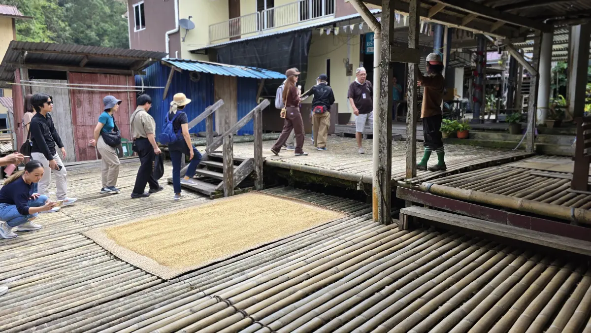 ชวนเที่ยว ‘กูชิง’ เมืองแมว สัมผัสวัฒนธรรมหลากหลายชนเผ่า ที่ ซาราวัก มาเลเซีย