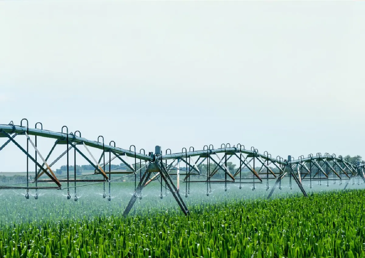 องค์กรไทยเร่งเครื่อง Green AI ผสานไอที–ความยั่งยืนสู่แกนธุรกิจ