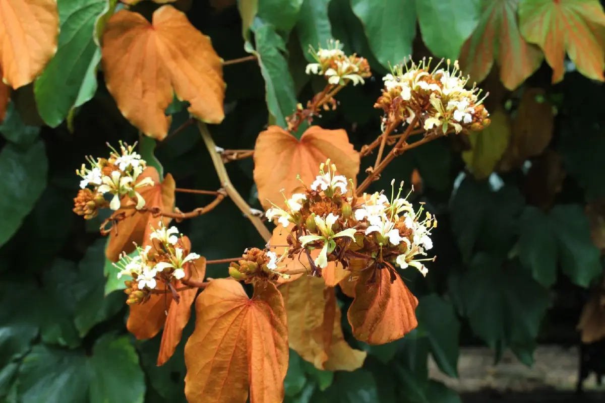 รับแดดอุ่นที่สวนสมเด็จพระนางเจ้าสิริกิติ์ ป่าเล็กในเมืองใหญ่