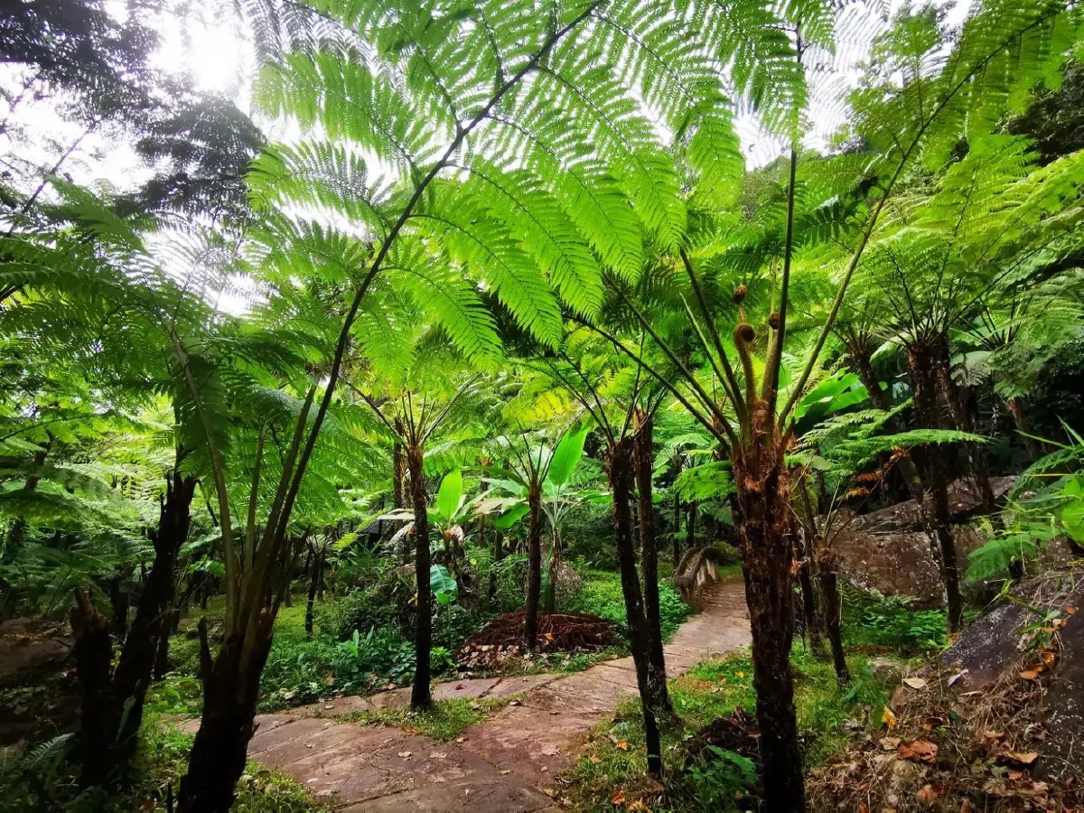 อินทนนท์...ด้วยพระบารมีคุ้มฟ้า