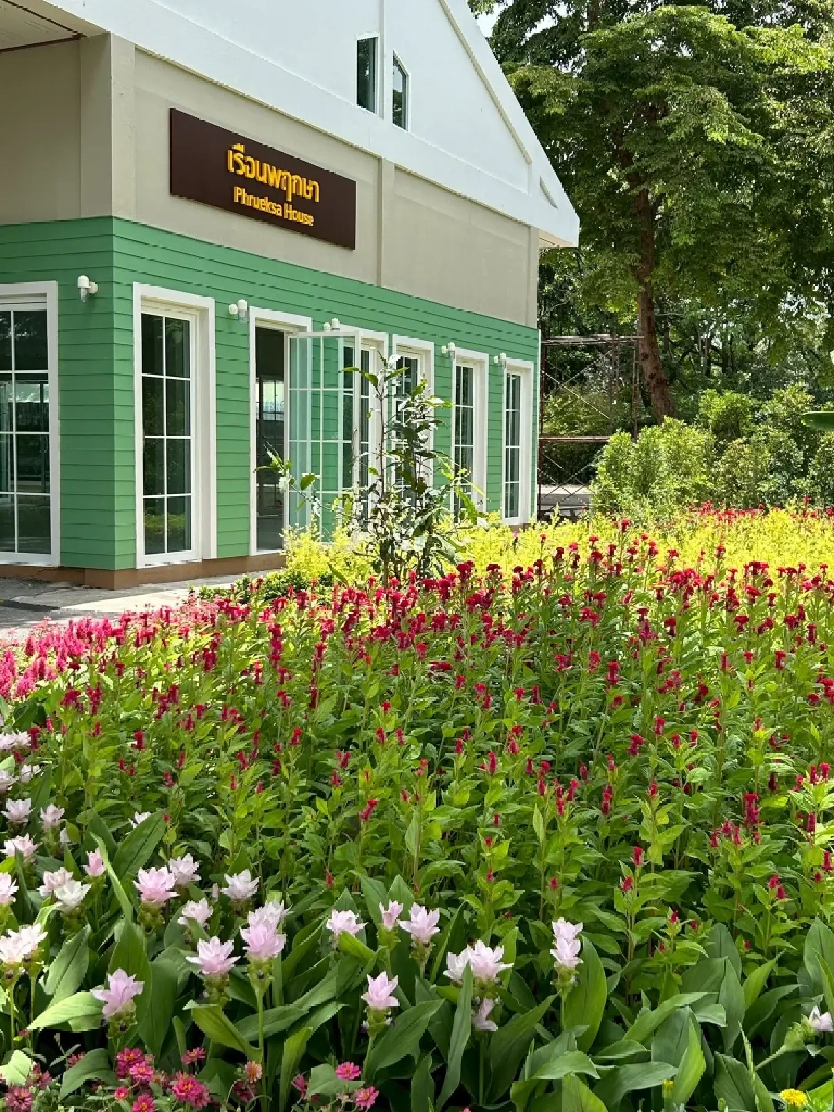 รับแดดอุ่นที่สวนสมเด็จพระนางเจ้าสิริกิติ์ ป่าเล็กในเมืองใหญ่