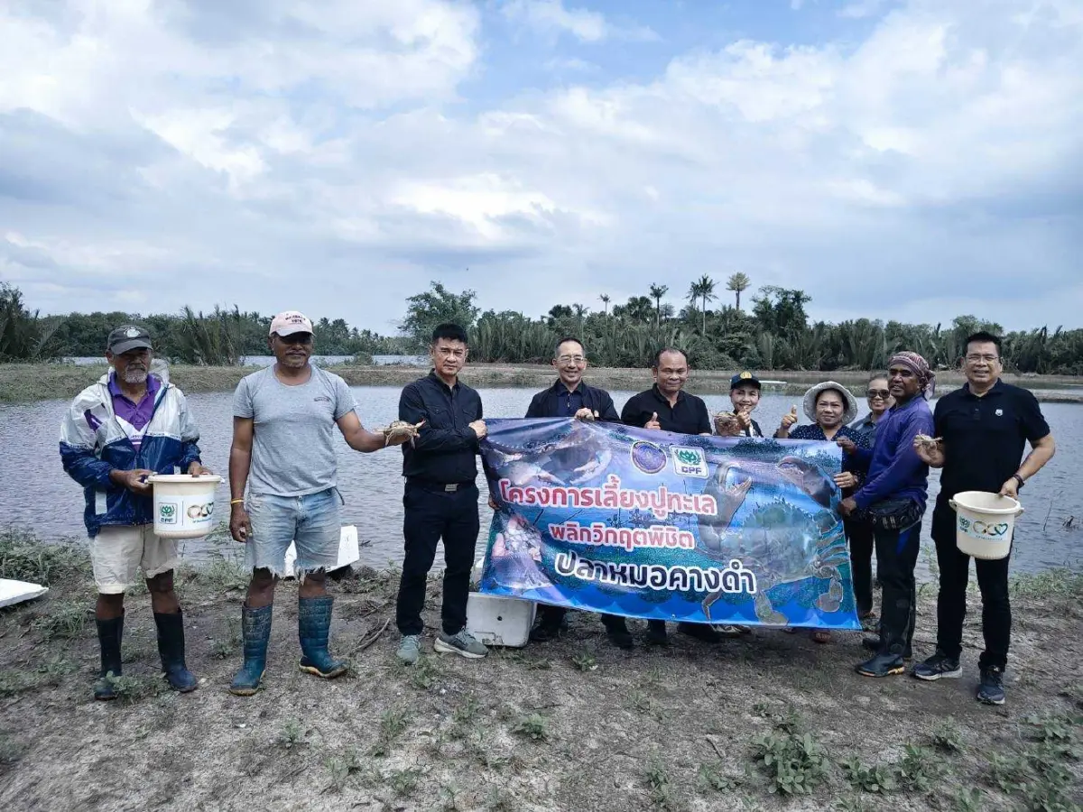 ประมงนครศรีธรรมราช หนุนใช้ปลาหมอคางดำเลี้ยง ปูขาวอินทรีย์