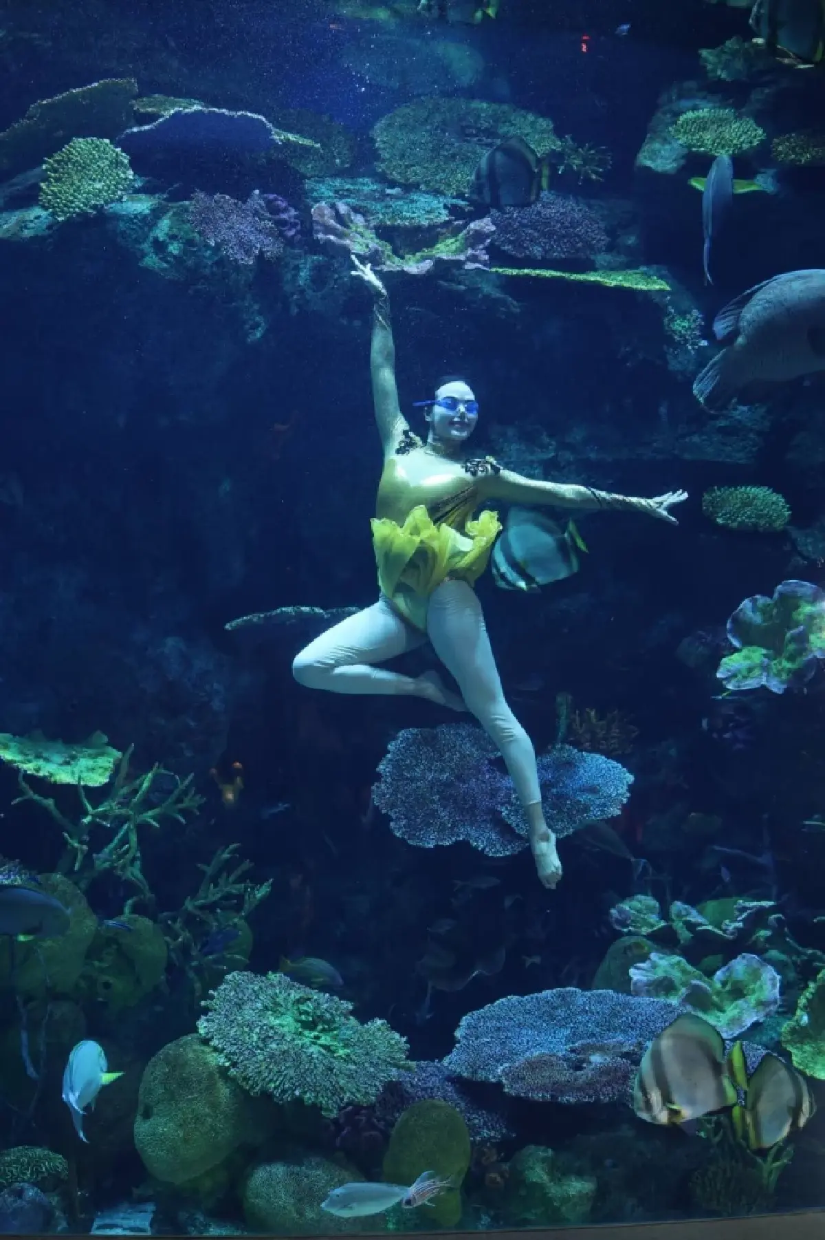 'Dive Into the Water Dance Show' ศูนย์การเรียนรู้โลกใต้ทะเลกลางกรุง