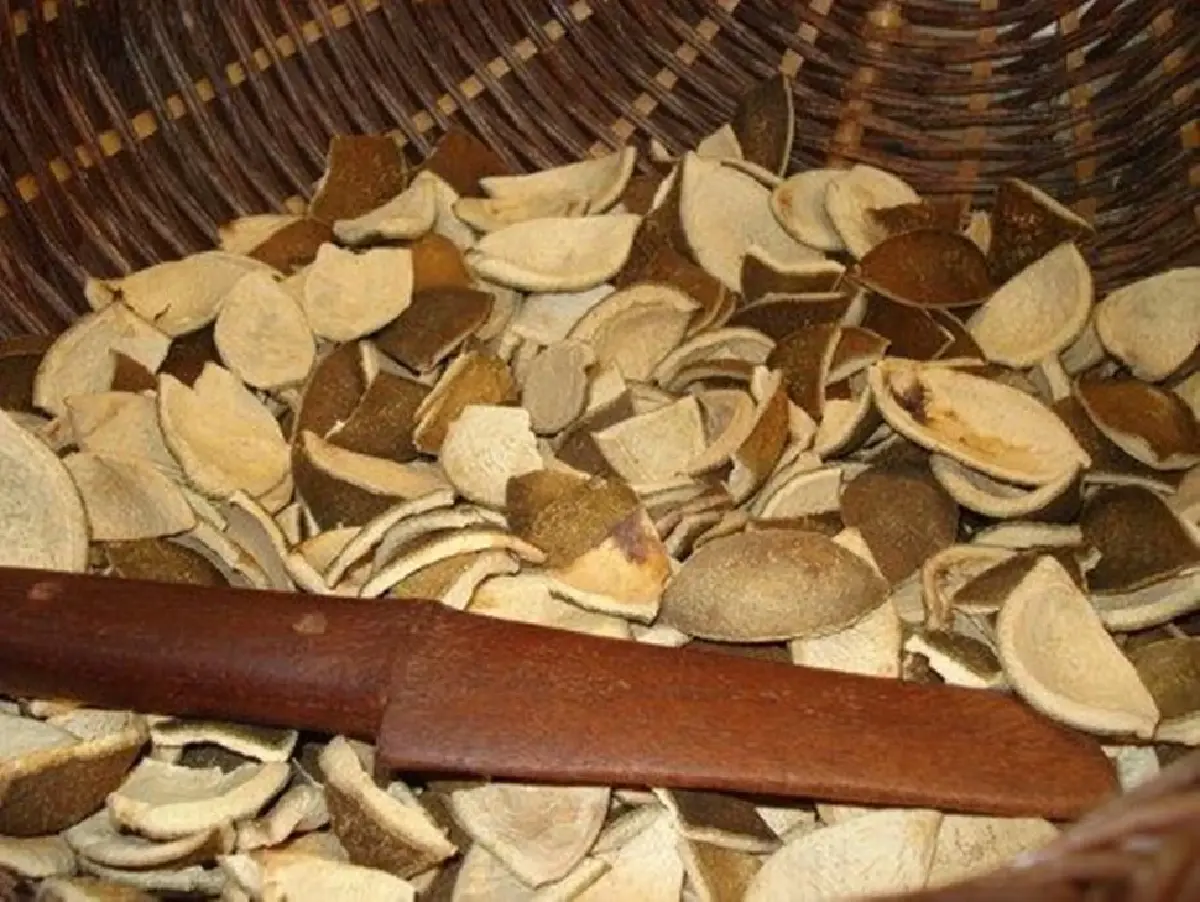 กูราเซา ดินแดนลิเคียร์และฟุตบอลโลก